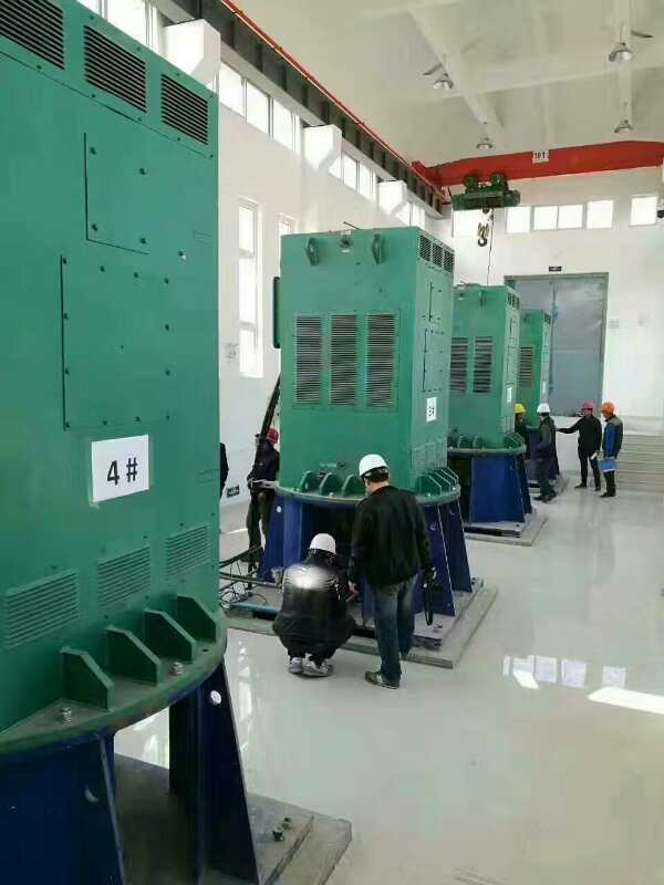 浦江某污水处理厂使用我厂的立式高压电机安装现场品质保证