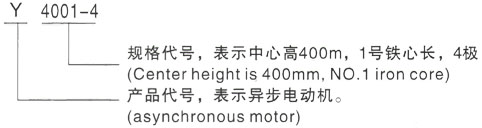 西安泰富西玛Y系列(H355-1000)高压浦江三相异步电机型号说明